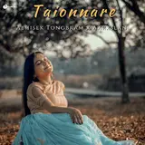Abhisek Tongbram — Taionnare Ft Aarxslan