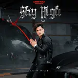 Asim Riaz — Sky High