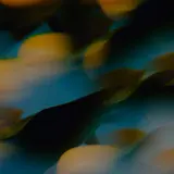 Ben Böhmer — Hiding (Feat. Lykke Li)