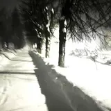 Dayerteq — Walk In The Cold (Slowed)