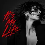 Dj Monster — It's My Life