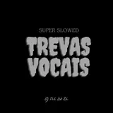 Dj Tls Da Zl — Trevas Vocais (Super Slowed)