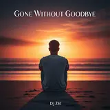 Dj Zm2909 — Gone Without Goodbye