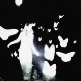 Dofin — В Чём Проблема?