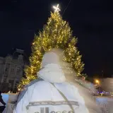 Drevo — Завітавши В Храм