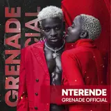 Grenade Official — Nteredde