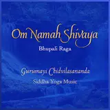Gurumayi Chidvilasananda — Om Namah Shivaya (Bhupali Raga) Ft Siddha Yoga Music