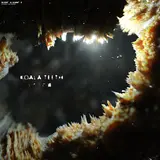 Istasha — Koala Teeth