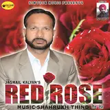 Jagmail Kalyan — Red Rose