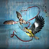 Jason Isbell And The 400 Unit — Go It Alone