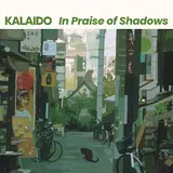 Kalaido — Shapeshifter