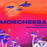 Morcheeba — Dead To Me