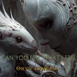Oryn Etheria — Can You Feel What I Feel