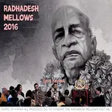 Radha Gopinath's Kirtaniyas — Sri Guruvastakam (Radhadesh Mellows 16 Day 1)