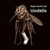 Regis Sound Lab — Uodelis