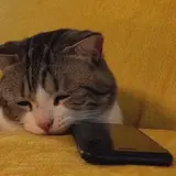 S0Rrow — Stalk Ur Socials (Slowed)
