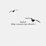 Säm — Kajakad