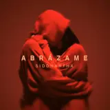 Siddhartha — Extraños