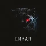 Skrimer & Nairex — Дикая