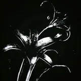 Snxff — Hex (Ultra Slowed)