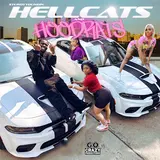Sturdyyoungin — Hellcats And Hoodrats