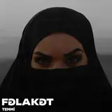 Temmi — Fəlakət