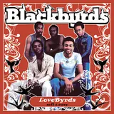 The Blackbyrds — Dreaming Of You