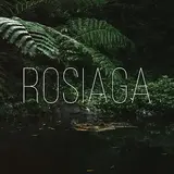 Tino — Rosiaga