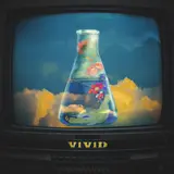 V1V1D — Timeless