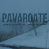 Valera Leovskii — Pavaroate (Feat. Anatol Mîrzenco)
