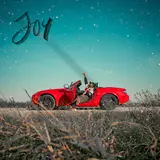 Vic Lucas — Joy