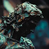 Vormentus — Sanity
