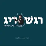 Yakov Shlomo Gross — Regeshdig