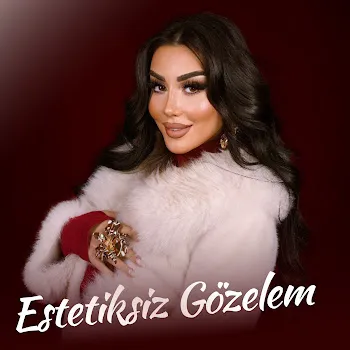 Esmira Mehizadə Estetiksiz Gözelem