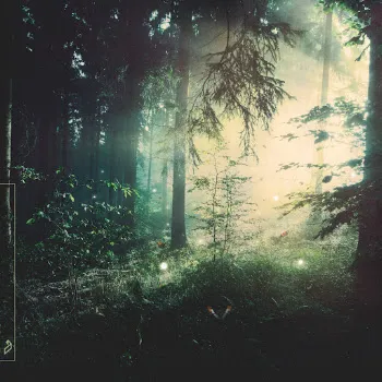 Nils Hoffmann Far Behind (Feat. Panama)