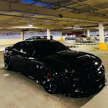 Skrixll Asphalt Tears