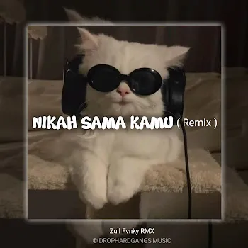 Zull Fvnky Rmx Nikah Sama Kamu (Remix)
